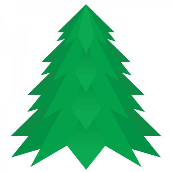 10ft + Nordman Fir Christmas Tree