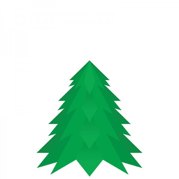 5ft Nordman Fir Christmas Tree