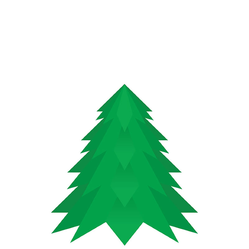 5ft Nordman Fir Christmas Tree