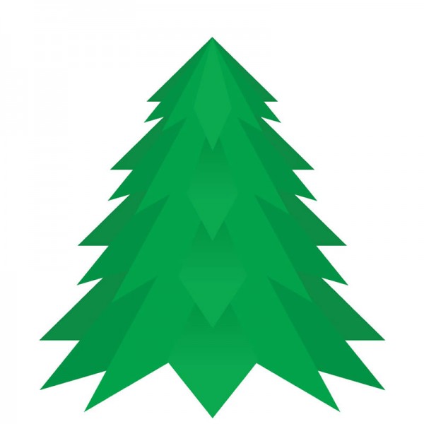 9ft Nordman Fir Christmas Tree